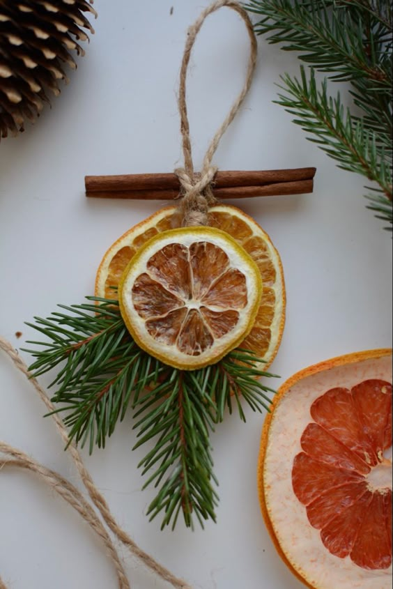 Citrus and Cinnamon Holiday Ornament