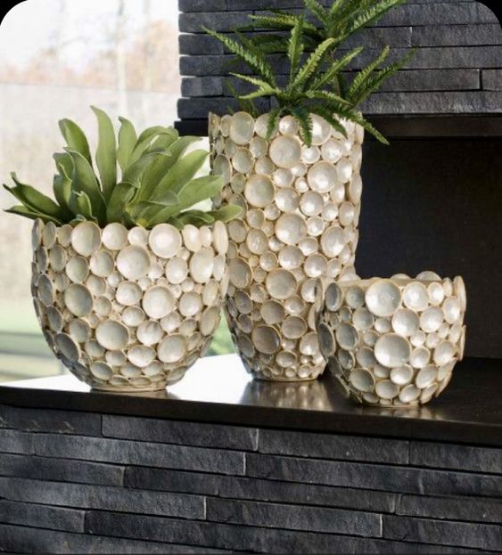 Elegant Seashell Planter Trio