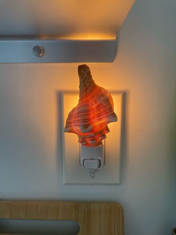 Seashell Night Light