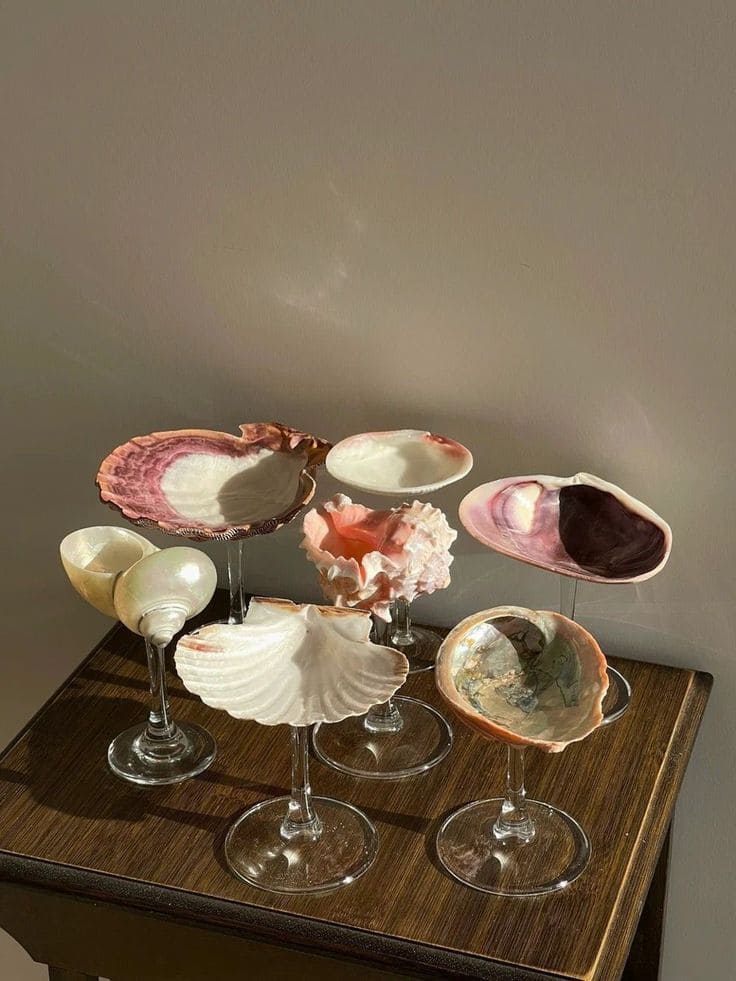 Elegant Seashell Dessert Stands