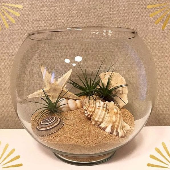 Enchanting Seashell Terrarium Masterpiece