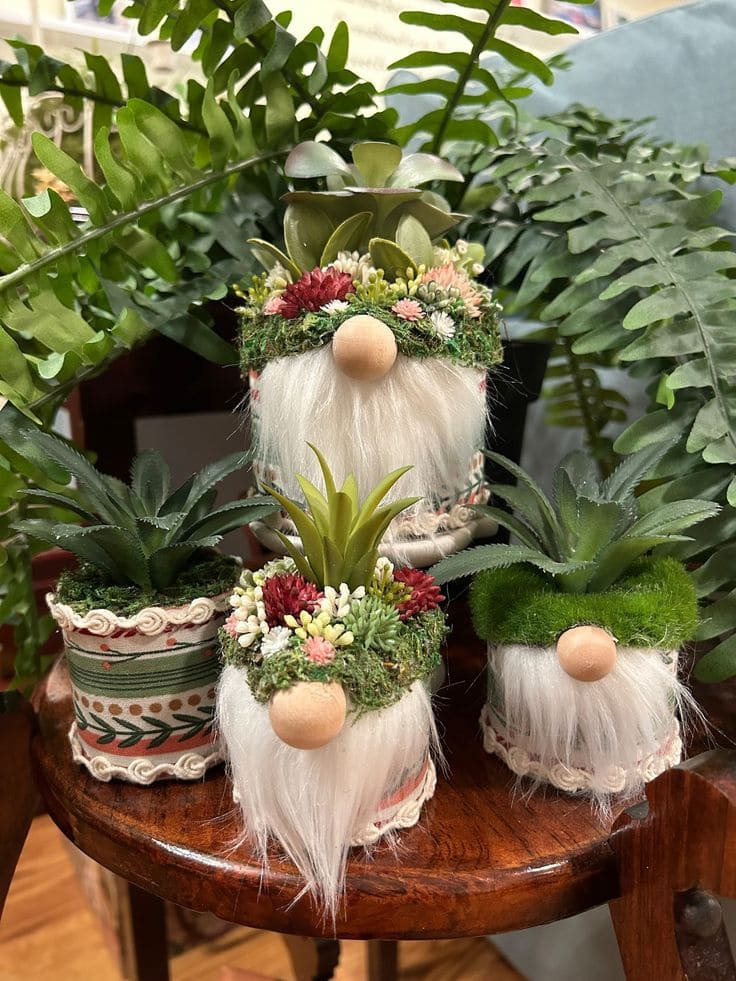 Whimsical Succulent Gnomes