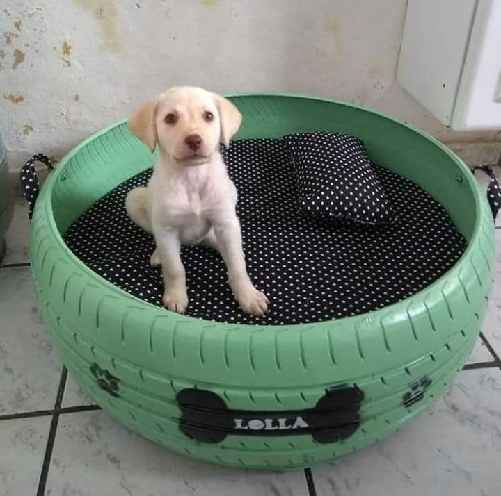 Adorable Upcycled Tire Pet Bed