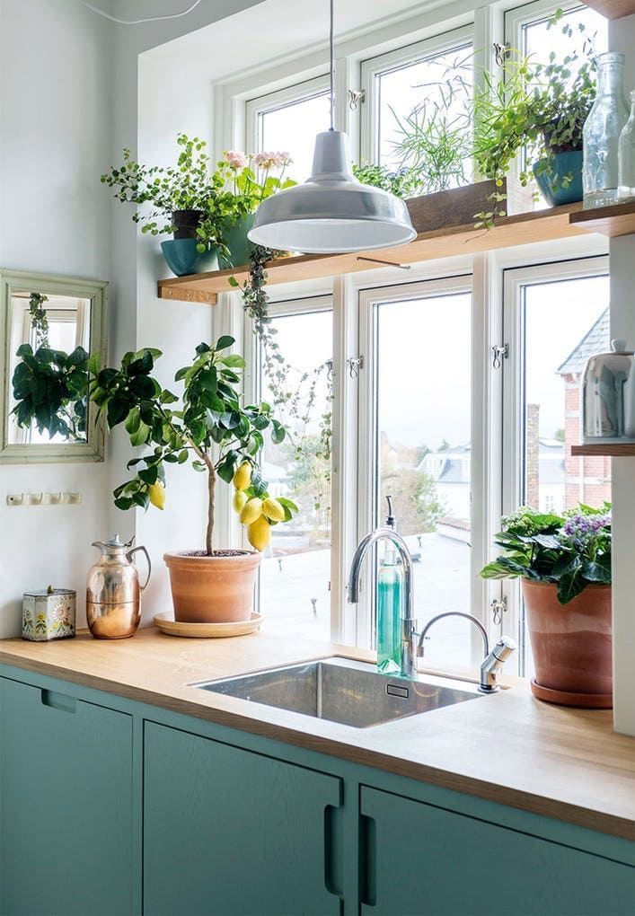 Bright Kitchen Window Herb Haven