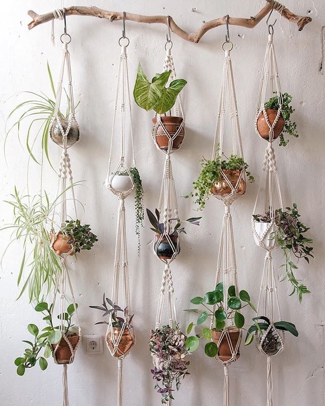 Cascading Yarn Hanging Plants Display