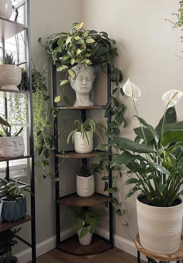 Charming Corner Shelf Plant Display