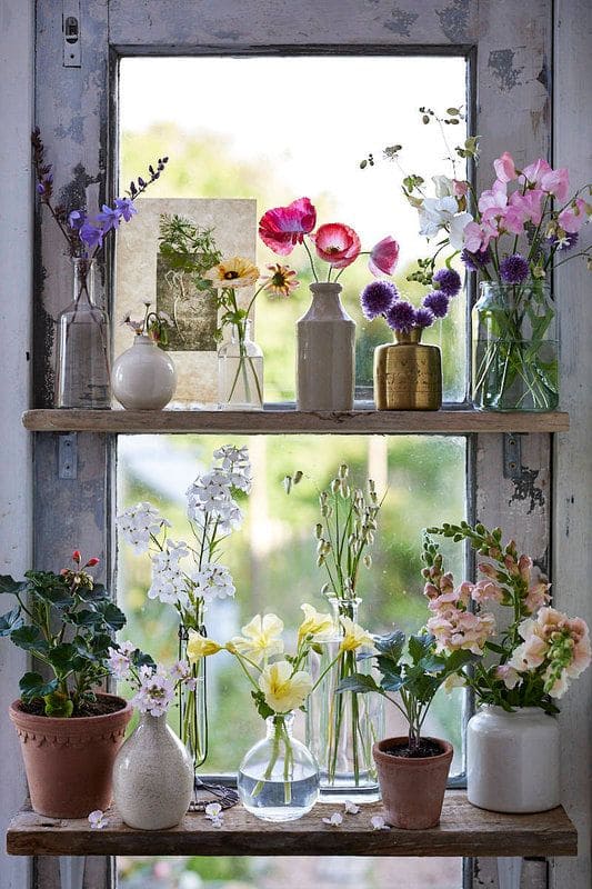 Charming Floral Window Sill Display