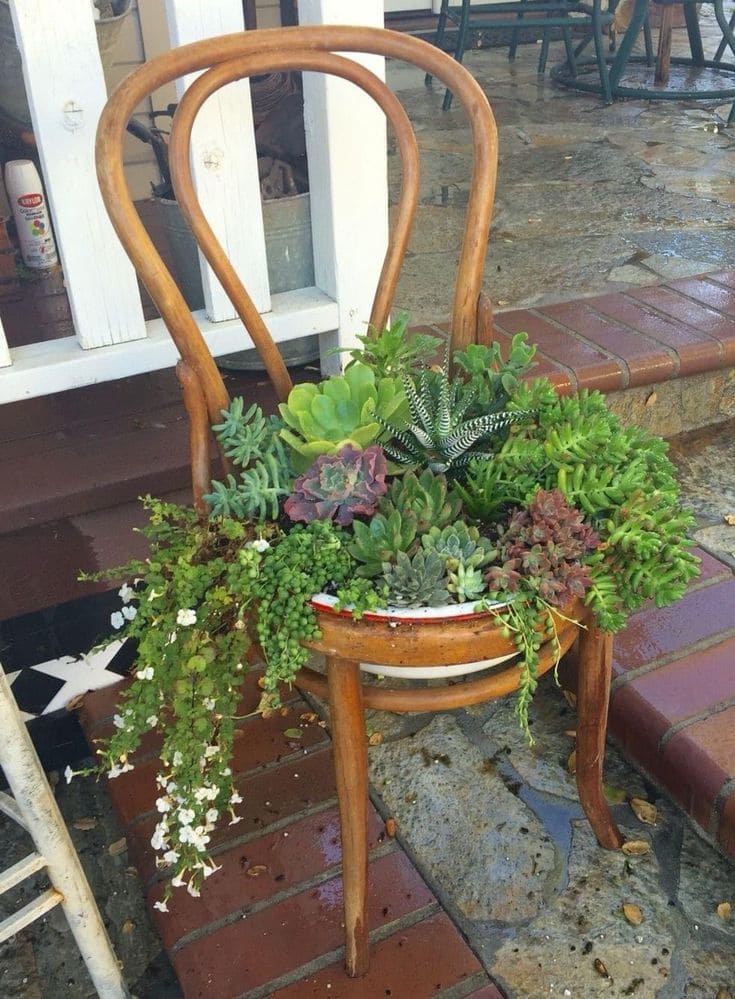 Chic Succulent Planter Chair Design