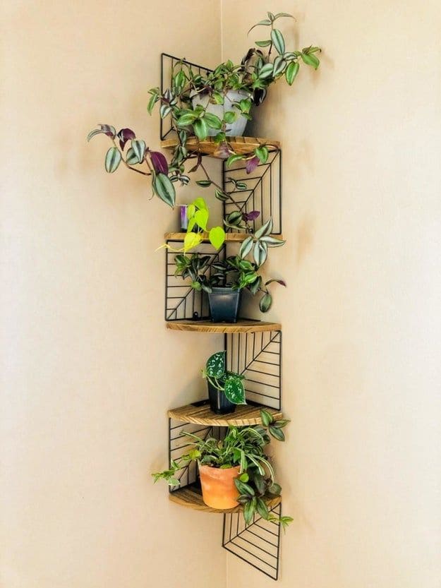 Chic Vertical Plant Corner Shelf