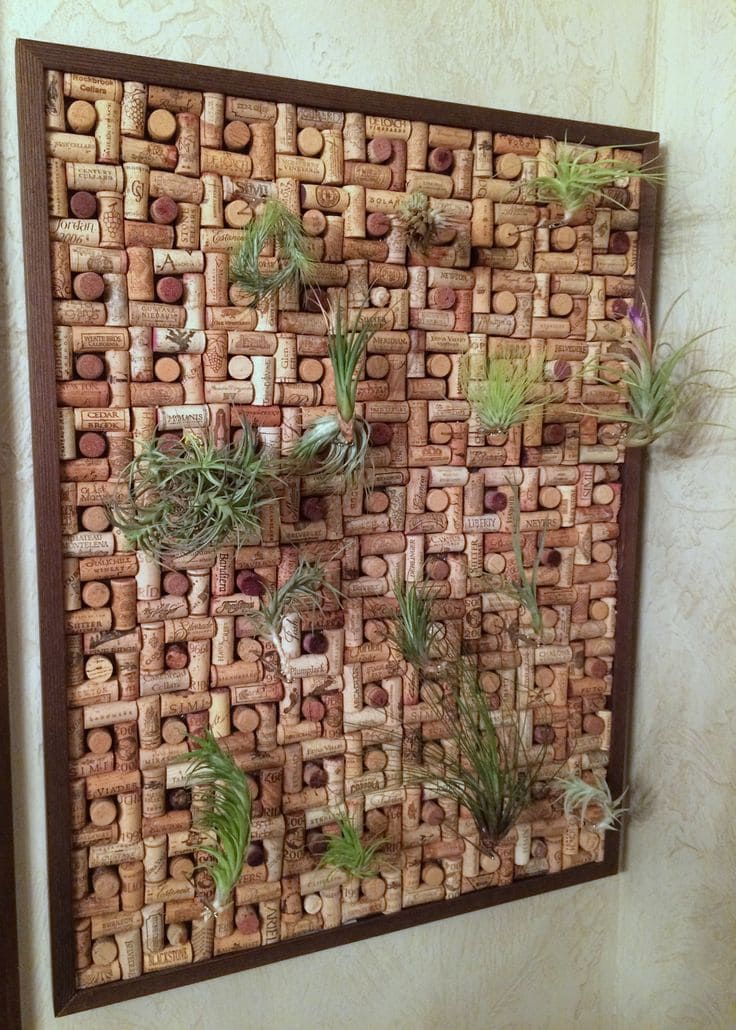 Eco-Friendly Cork and Air Plant Wall