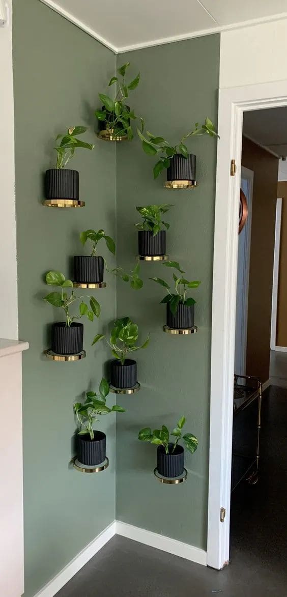 Elegant Floating Plant Wall Design