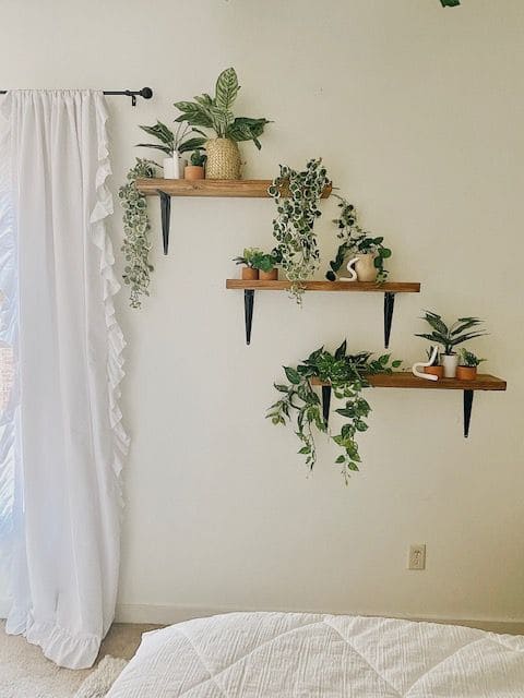 Elegant Floating Staircase Plant Display