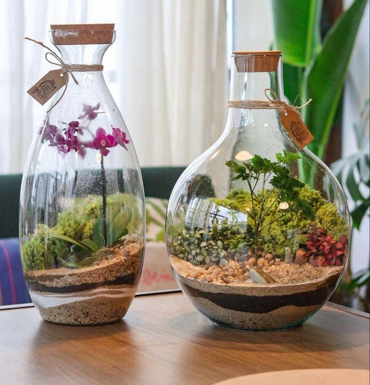 Elegant Glass Terrarium Garden Display