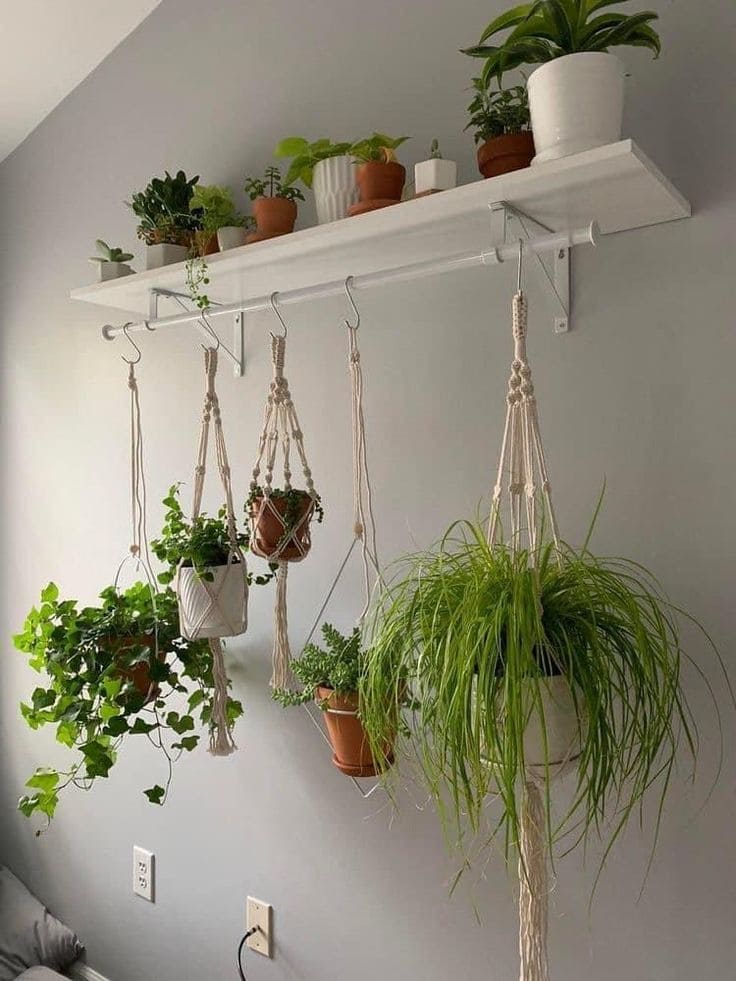 Elegant Hanging Shelf Plant Display