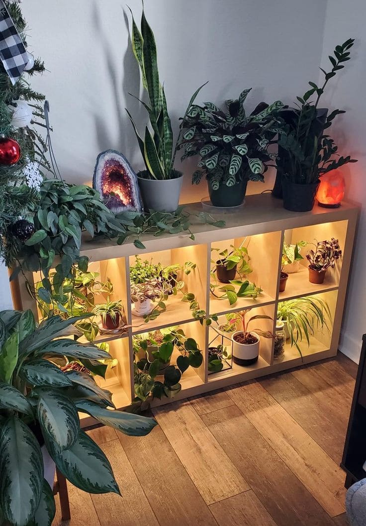 Greenery Corner with Illuminated Display