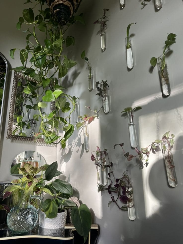 Living Wall Test Tube Garden Art