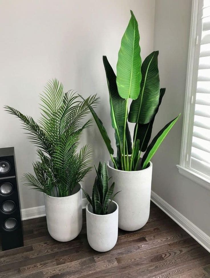 Lush Indoor Plant Corner Display