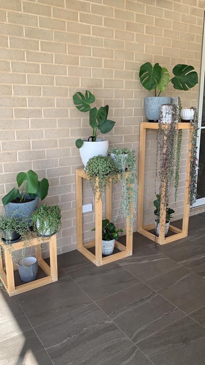 Minimalist Wooden Plant Stand Display