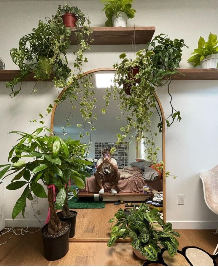 Mirror-Framed Indoor Greenery Display