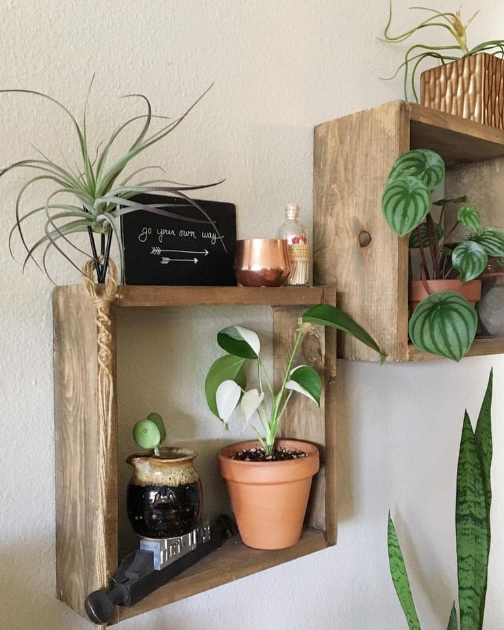 Rustic Wooden Cube Plant Shelves