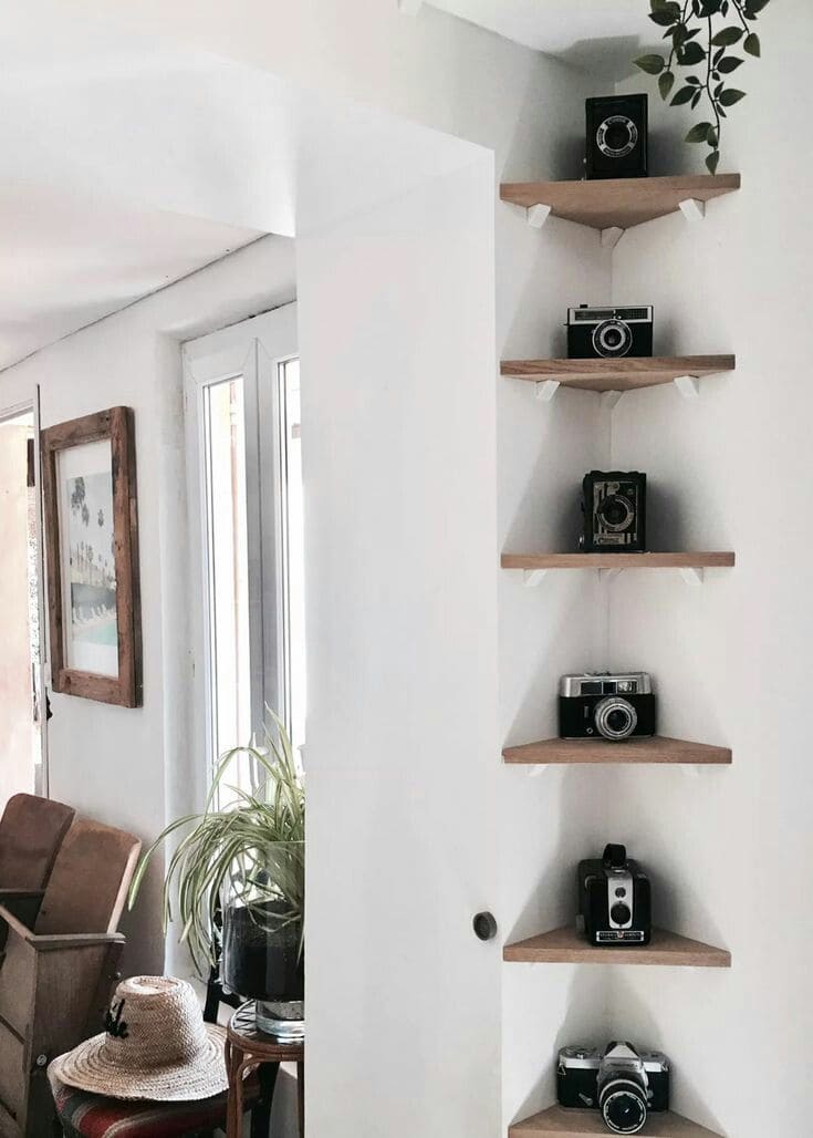 Timeless Vintage Camera Display Shelves