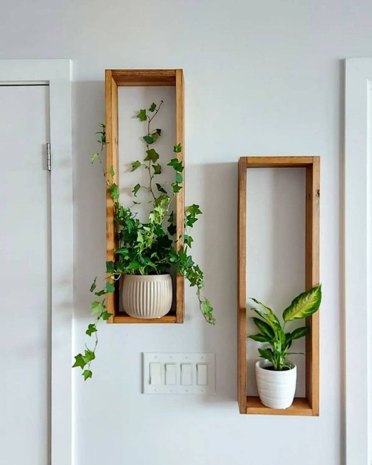 Vertical Plant Display Frames