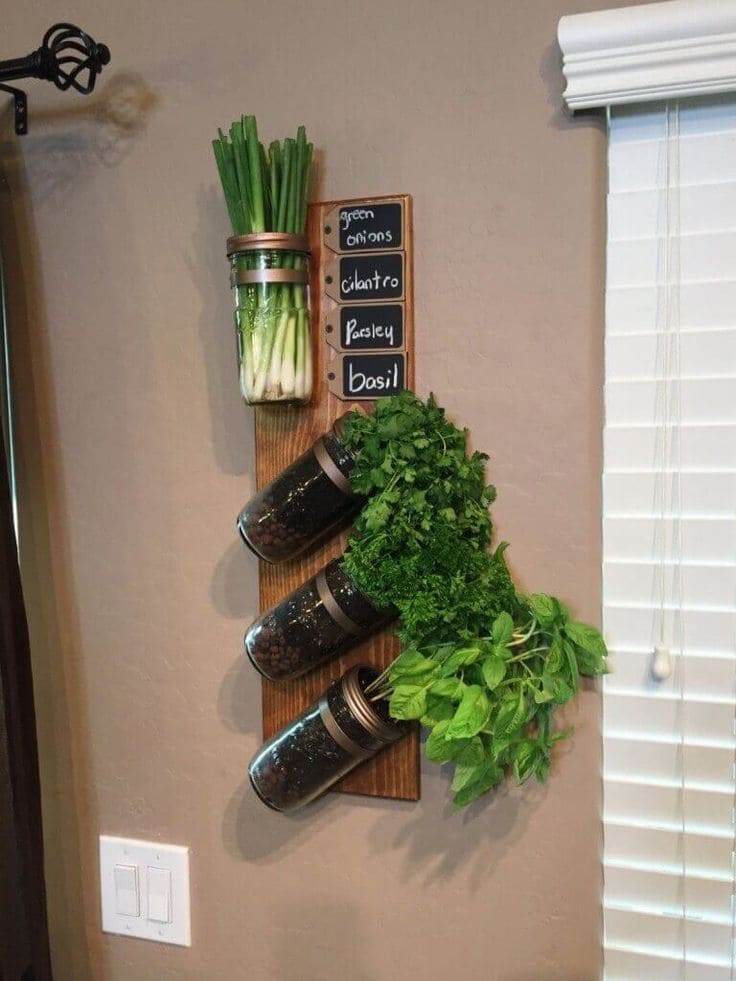 Wall-Mounted Mason Jar Herb Garden