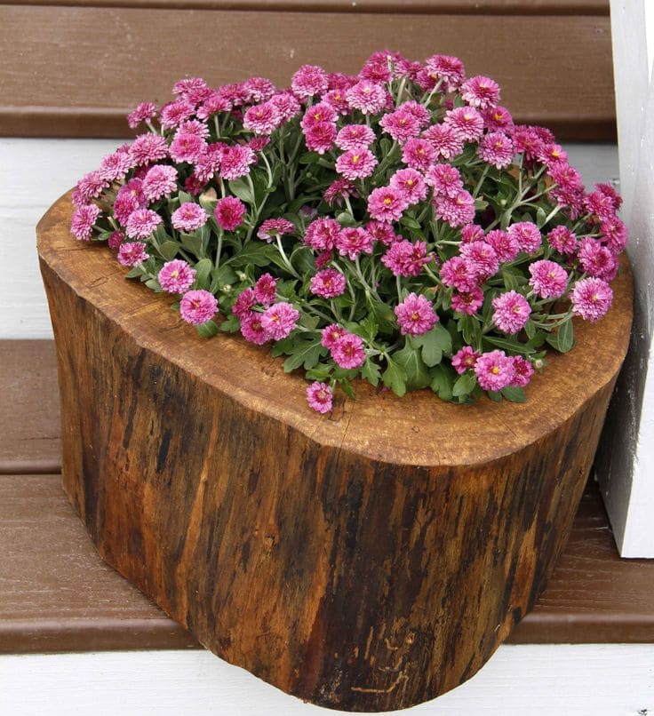 Charming Tree Stump Flower Planter Delight