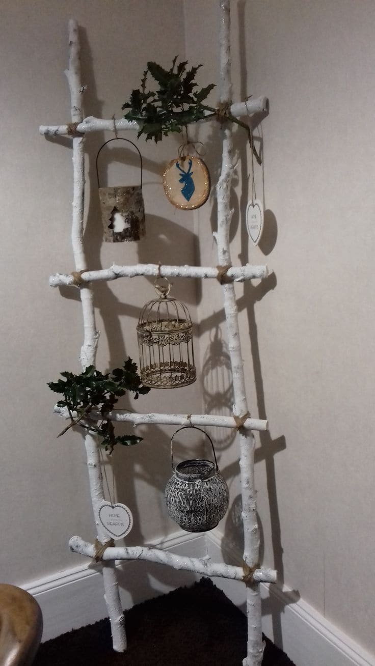 Decorative Ladder for Charming Displays