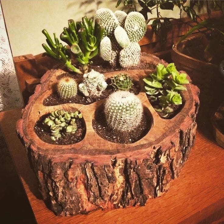 Rustic Tree Stump Succulent Planter