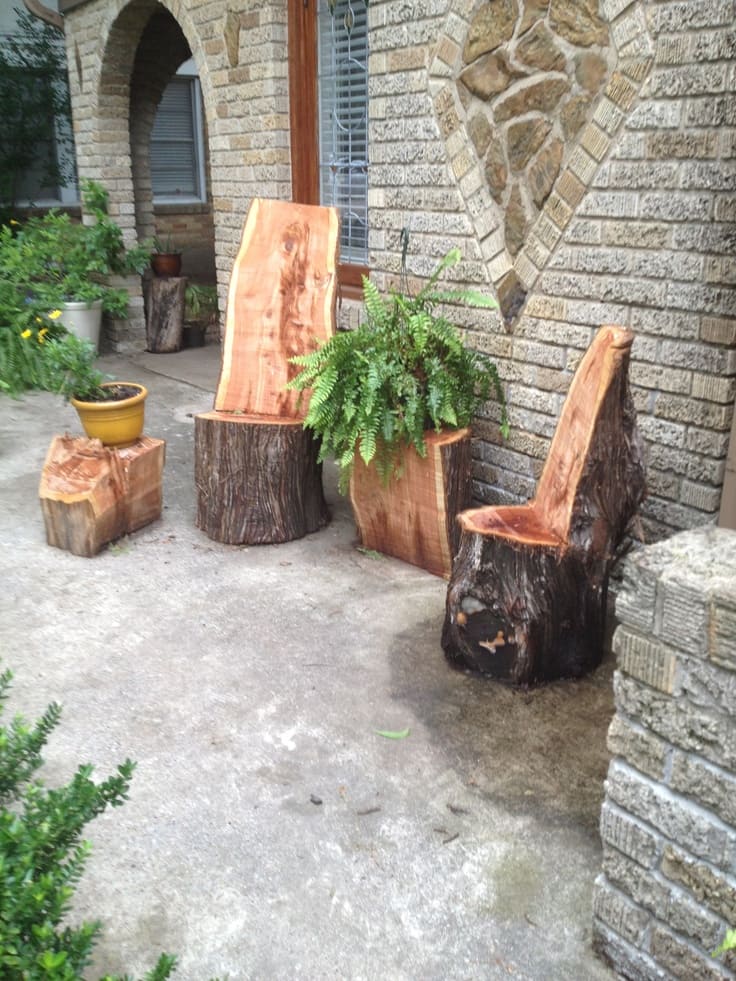 Tree Stump Seating and Planters