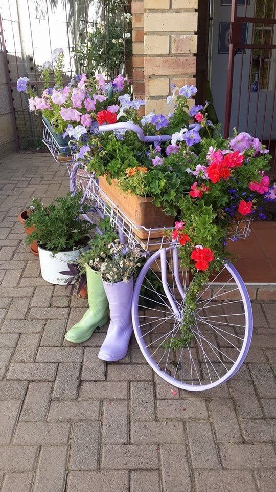 Whimsical Bicycle Garden with Spring Blooms