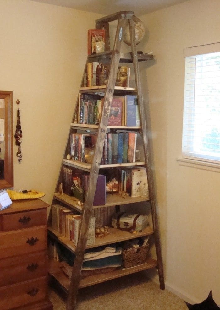 Rustic Ladder Bookshelf