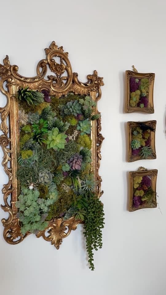 Lush Succulent Living Frame Wall