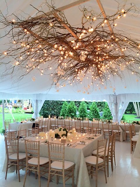 Magical Branch Light Canopy with Fairy Bulbs