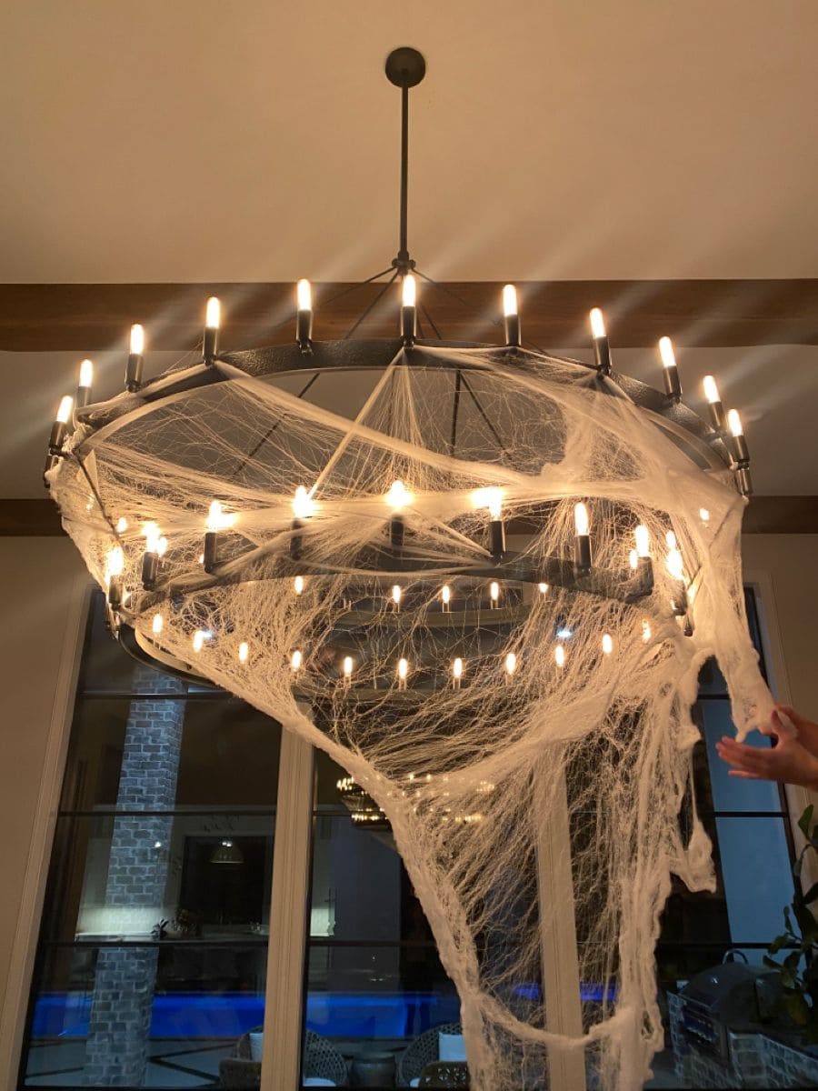 Elegant Cobweb Chandelier