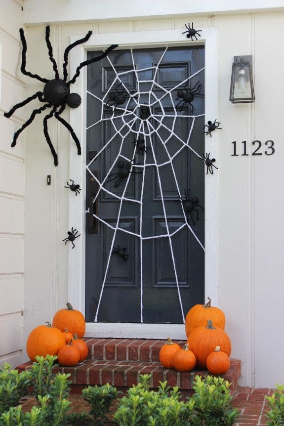 Giant Spider Attack on the Door
