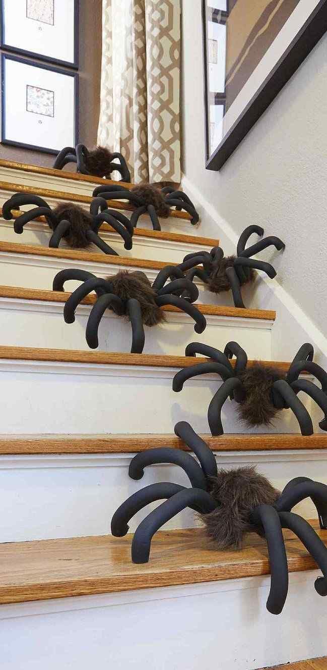Tarantula Takeover