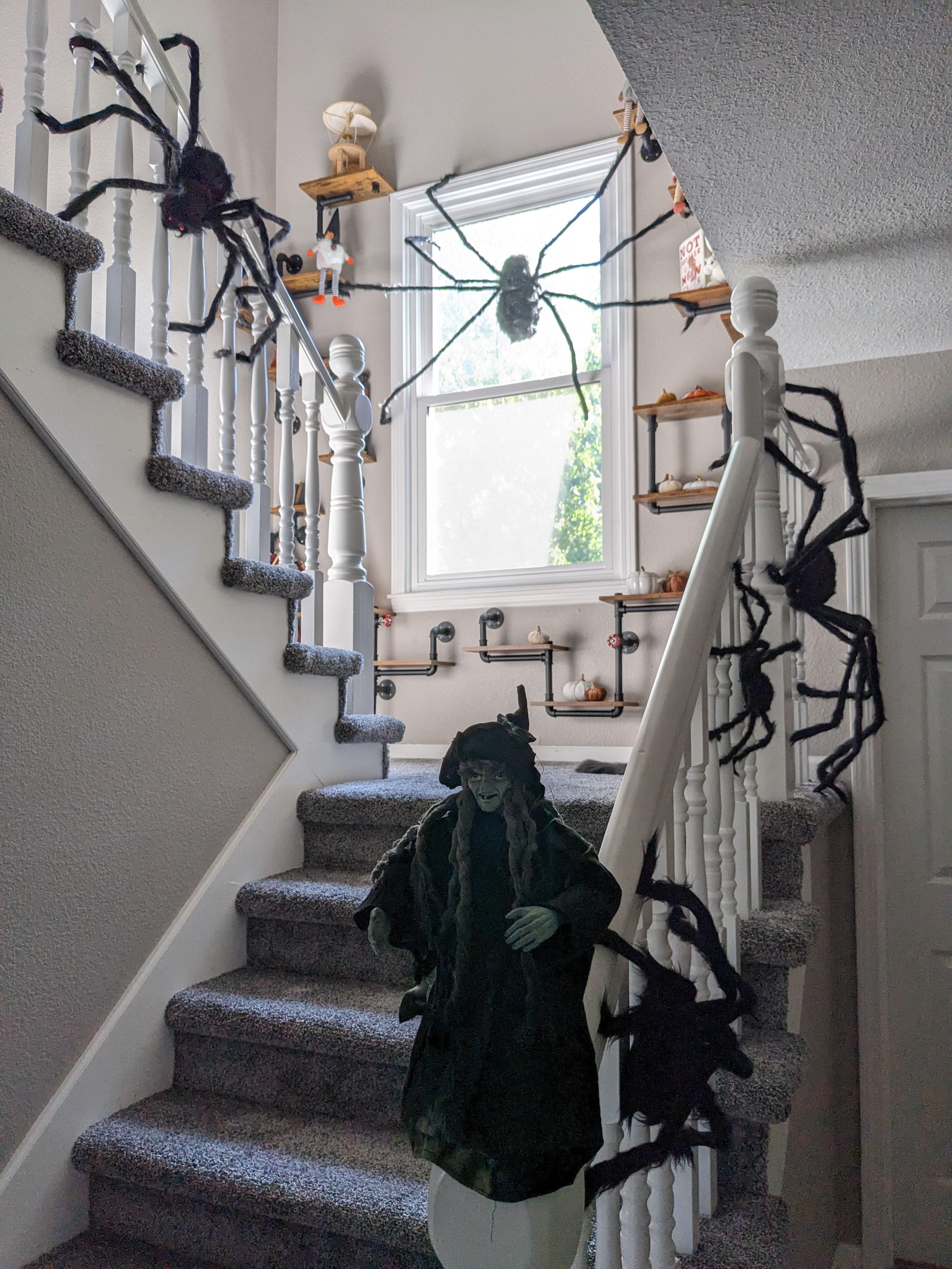 Webbed Witches and Towering Terrors