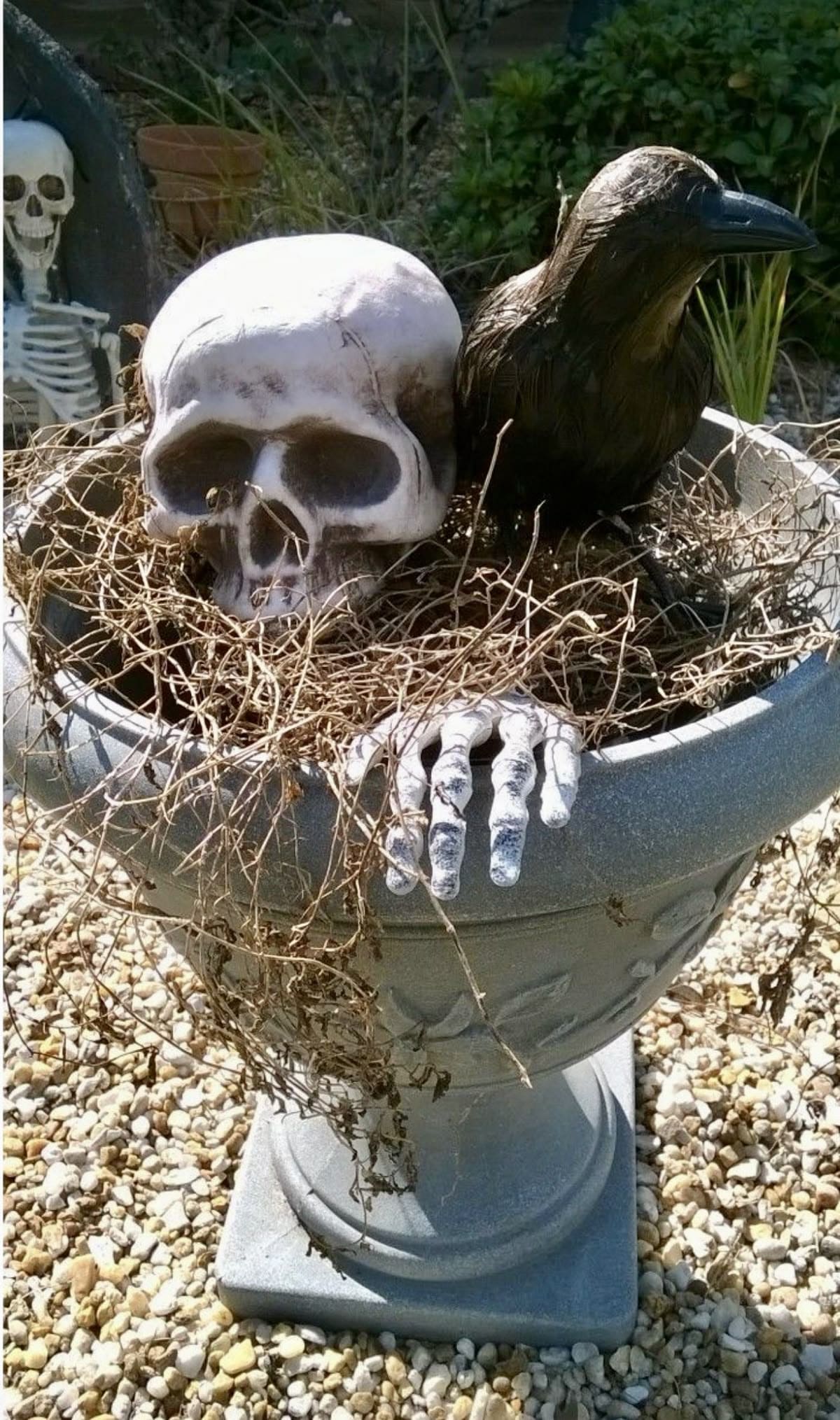Creepy Skull & Raven Halloween Planter