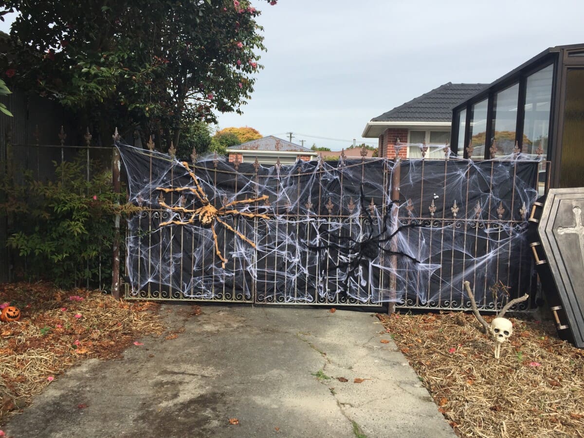 Creepy Spider Web Gate