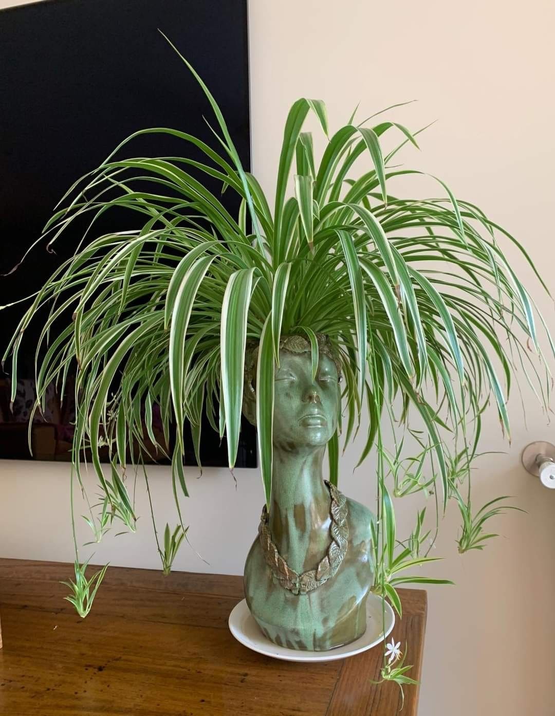 Eco-Friendly Bust Planter Design
