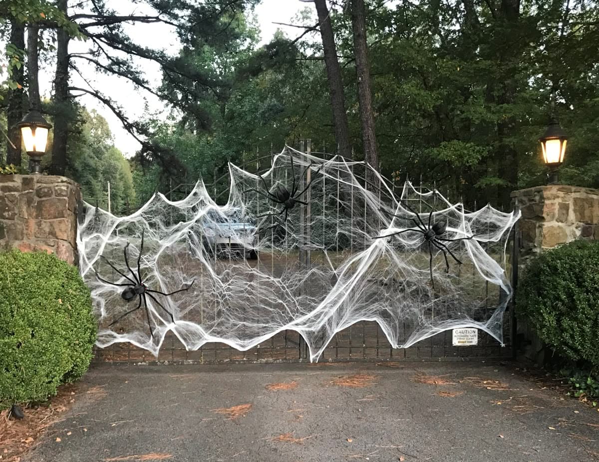 Giant Spider Web Gate