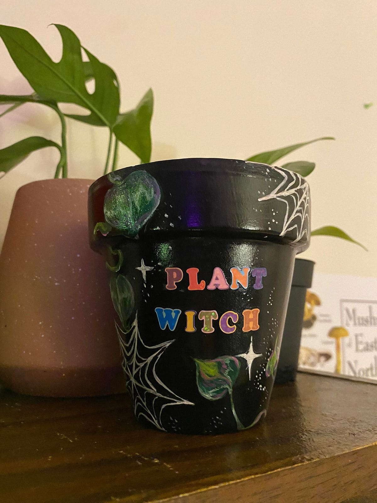 Halloween Plant Witch Painted Pot