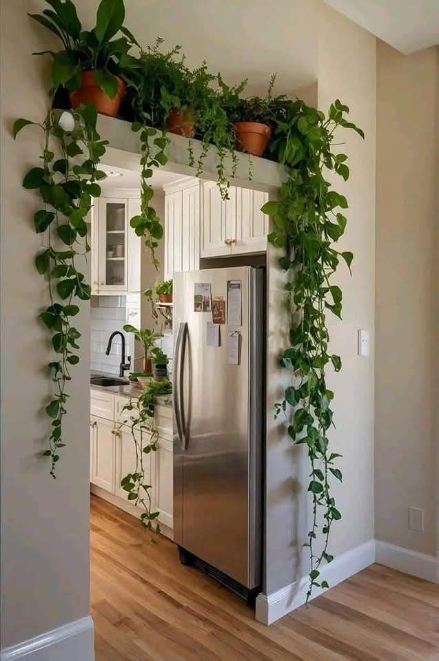 Kitchen Archway Plant Frame