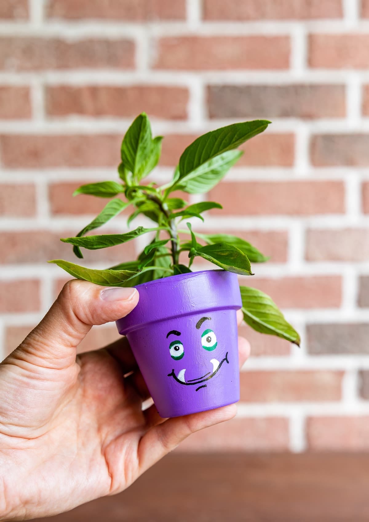 Mini Purple Monster Planter