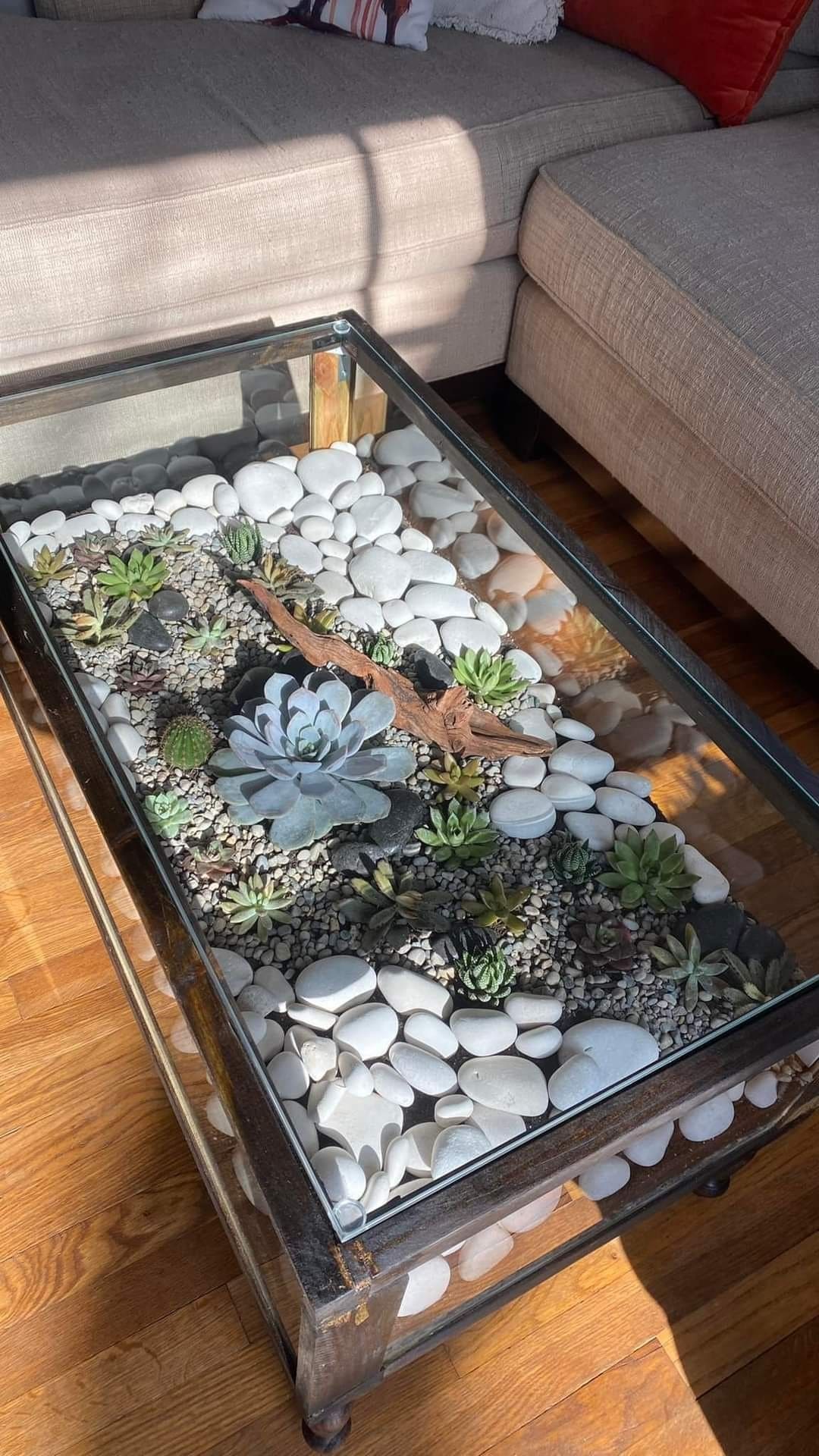 Succulent and Rock Glass Coffee Table