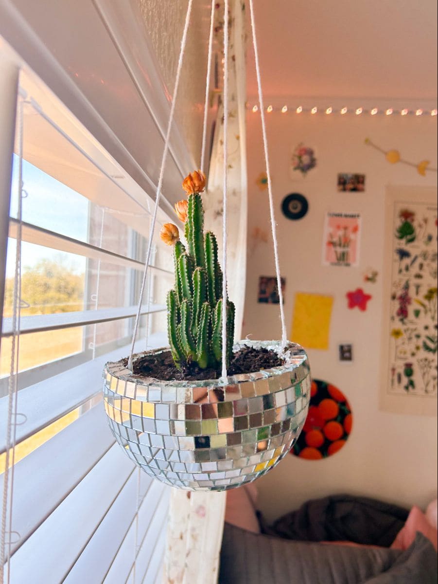 Disco Ball Hanging Planter