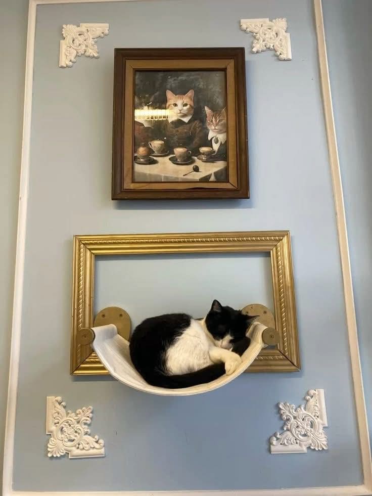 Framed Hammock Cat Nook