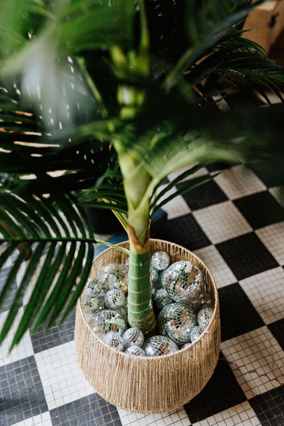 Palm Planter Disco Glam